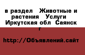  в раздел : Животные и растения » Услуги . Иркутская обл.,Саянск г.